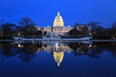 IMG 5575 Capitol 2013 Xmas